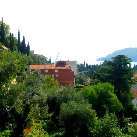 Seka Μπούντβα